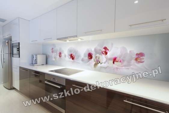 panele szklane w kuchni,  białe orchidee, storczyki